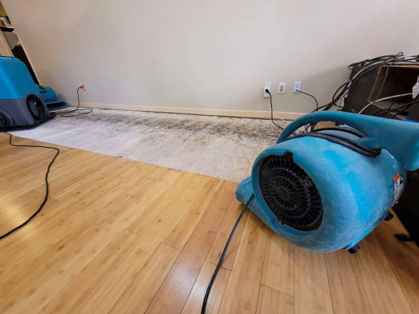 Professional Water Removal technician working in Aldie, VA